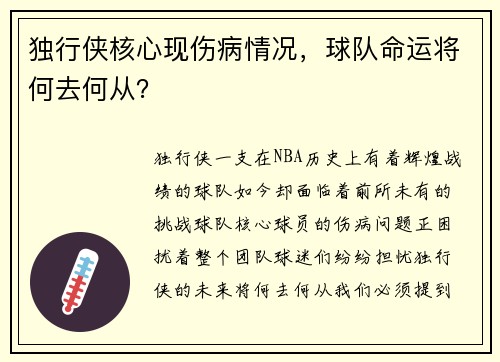 独行侠核心现伤病情况，球队命运将何去何从？